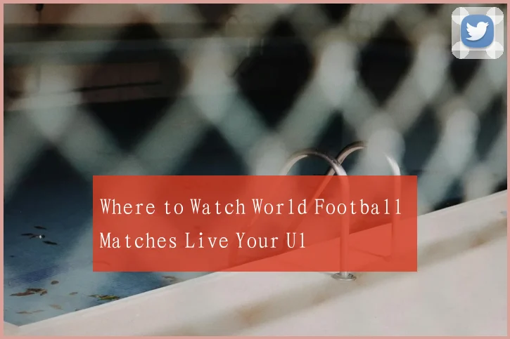 Where to Watch World Football Matches Live Your Ul