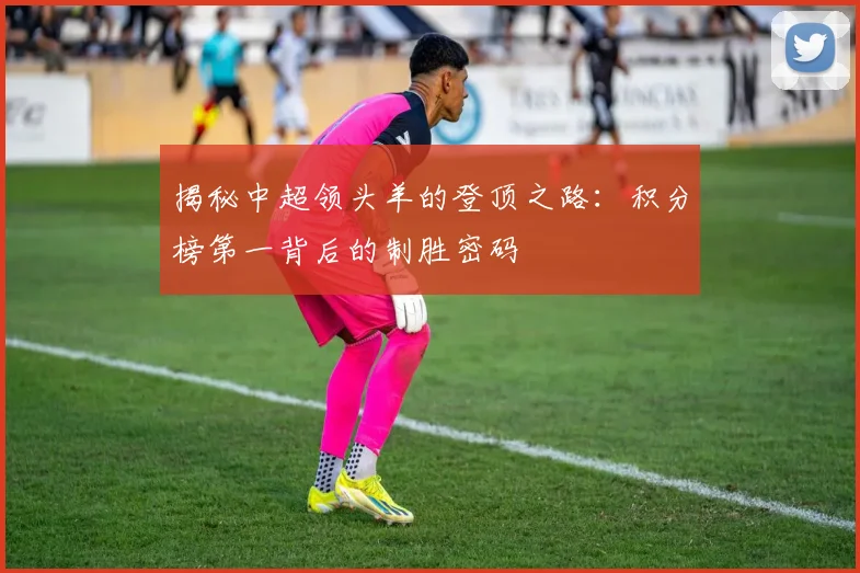揭秘中超领头羊的登顶之路：积分榜第一背后的制胜密码